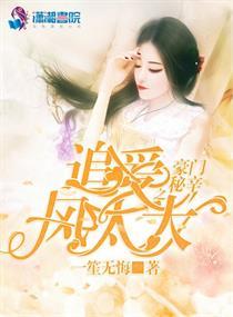 豪门秘辛之追爱风太太封面