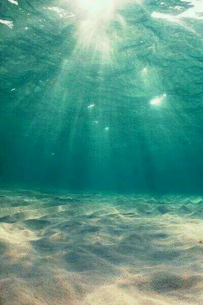 苏雪宁轩辕湛小说最新热门小说封面