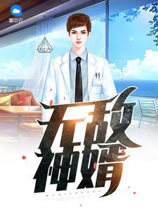 张玄林清菡封面