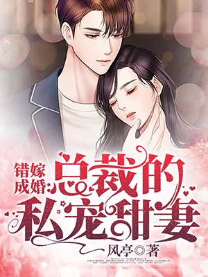 总裁的甜宠新娘封面