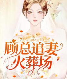 顾总追妻火葬场封面