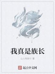 沈婉仪沈芙免费阅读封面
