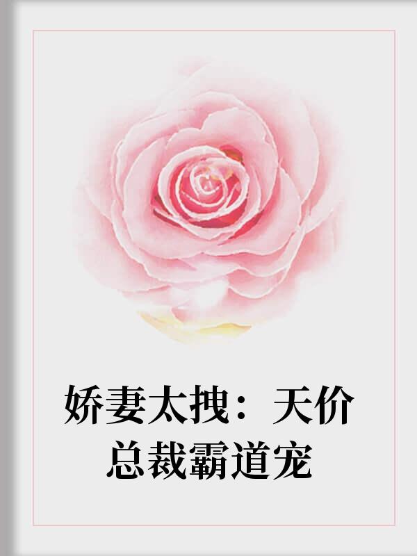 许柠琅盛淮南名封面