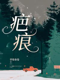 疤痕封面