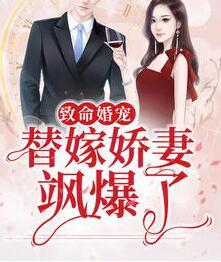 姜月陆靳寒封面