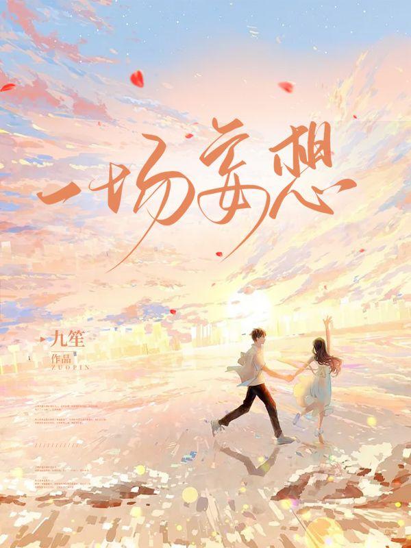 一场妄想封面