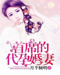 苏梨儿秦城阳小说名字封面