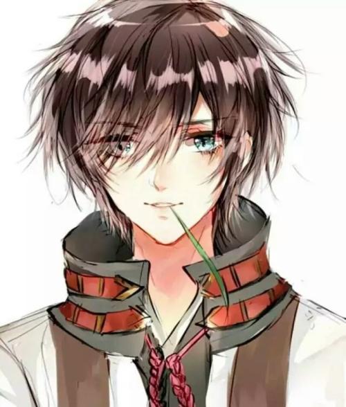 大婚当日被女主杀死TXT下载封面