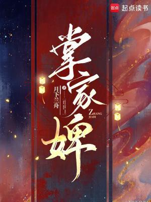 掌家婢封面