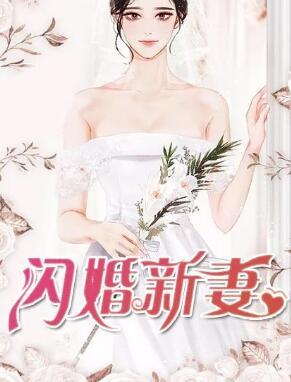闪婚新妻封面