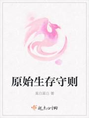黑雪花小说封面