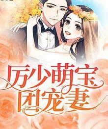 厉少萌宝团宠妻封面