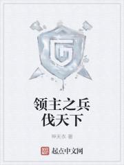 领主之兵伐天下封面