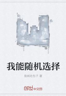 官梯险情封面
