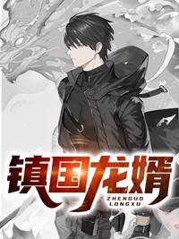 镇国龙婿封面