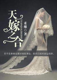 叶笙陆庭洲小说免费阅读封面