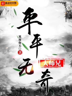 平平无奇大师兄封面